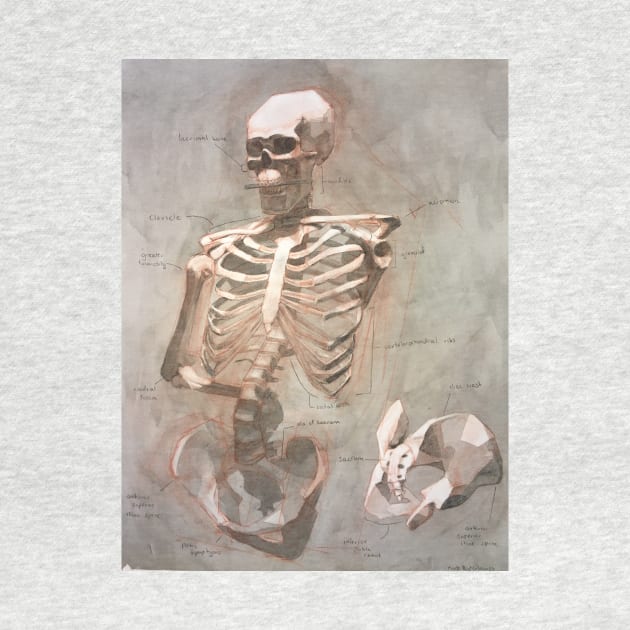 A Skeletal Study by KiellR